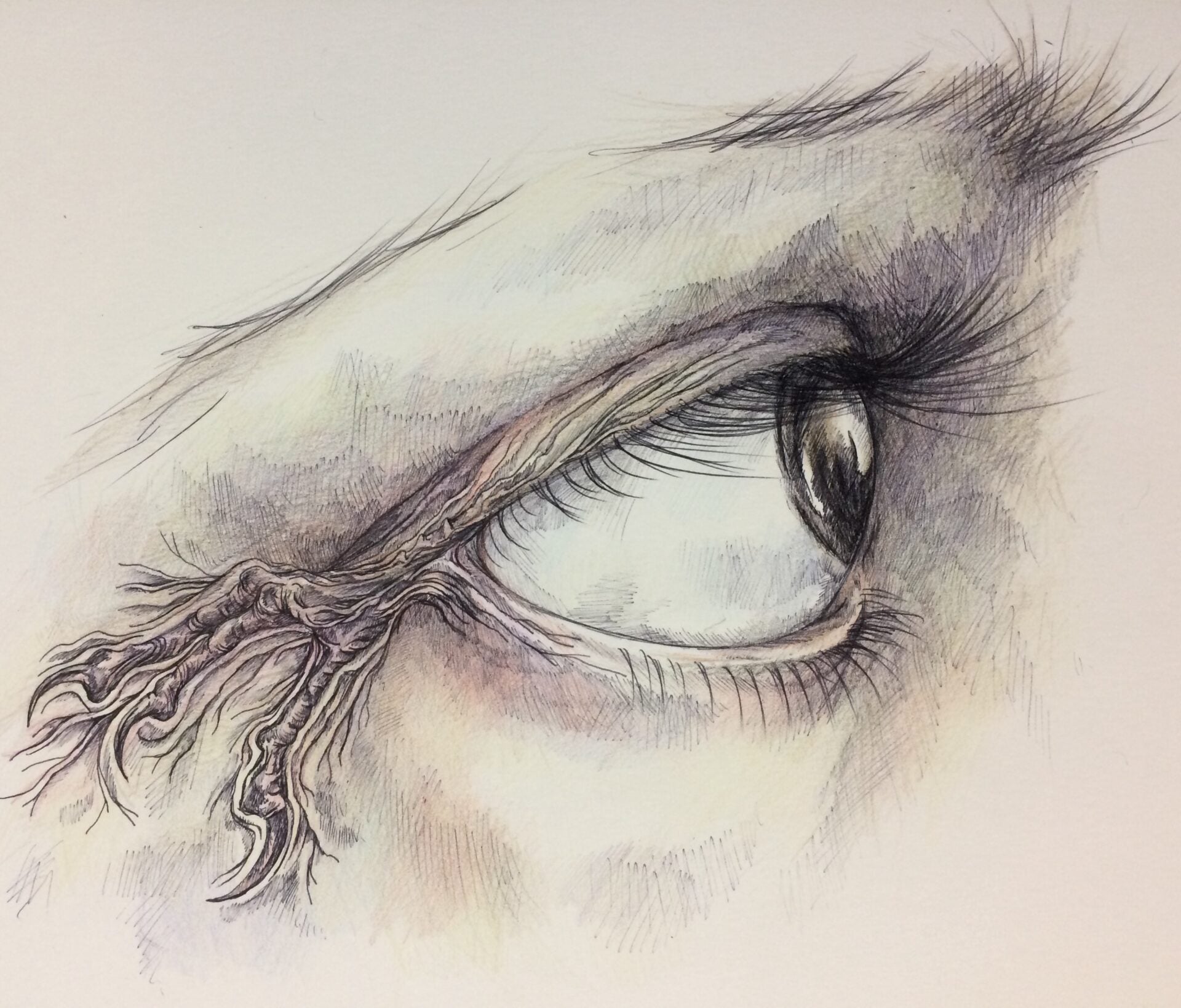 Artist Mel Hartigan profile – Peanut Butter Stout artwork for Aether Brewing Australian beer