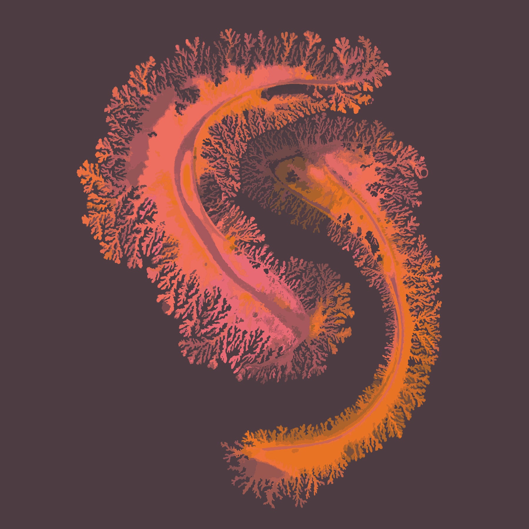 C Theory artwork by Cozzah Hambly – Aether Brewing Brisbane craft beer art