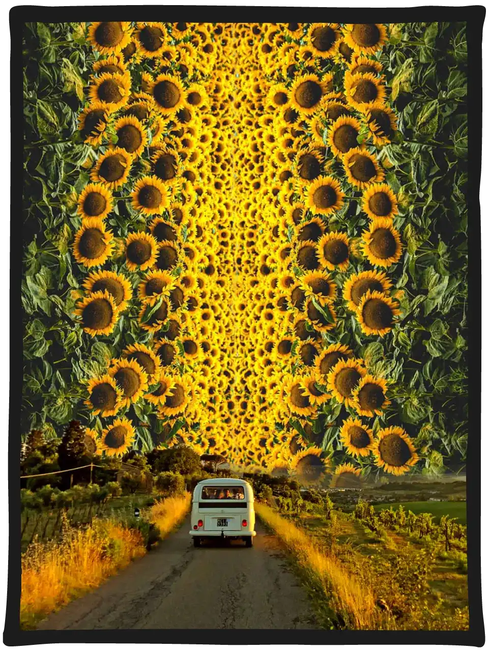 Digital collage artwork titled Following the Sun by artist Anna McPhee, showing people in a Kombi van driving through sunflowers, featured on Aether Brewing’s Mass Euphoria West Coast IPA.