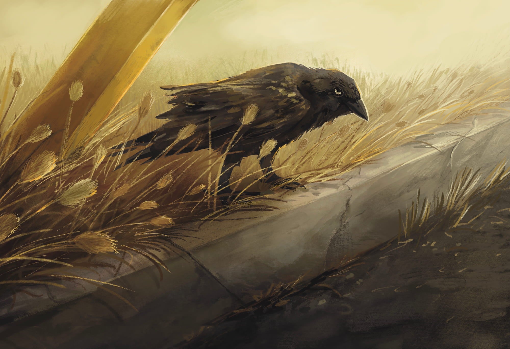 Roadside Omen artwork by Kate Loveday, featured on Aether Brewing’s Dunkel beer.