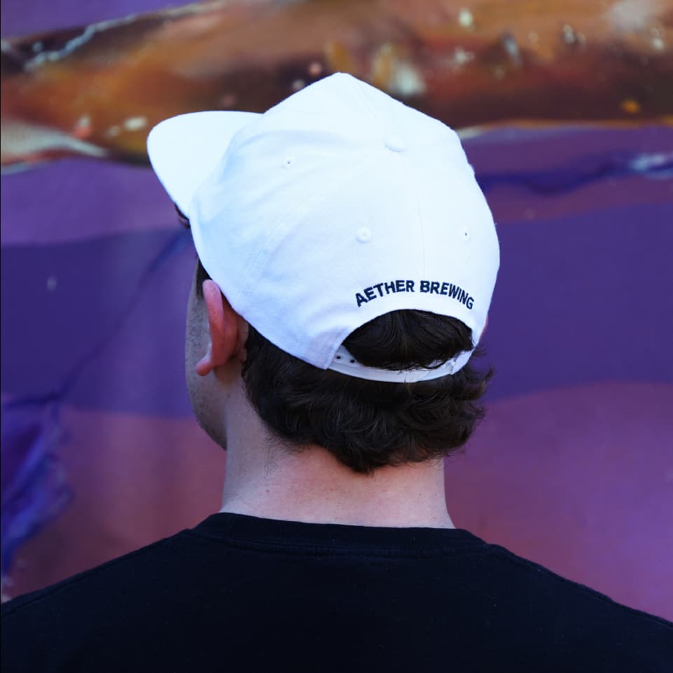 Brewery cap by Aether Brewing – navy on white, back view